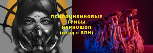 стафф Арсеньев