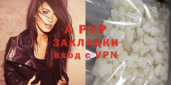 стафф Арсеньев