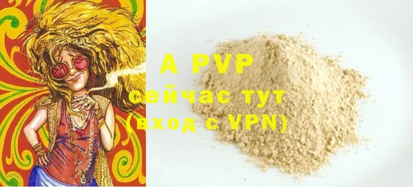 стафф Арсеньев