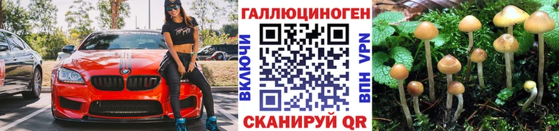 Галлюциногенные грибы Magic Shrooms  Купить закладки  Лихославль 